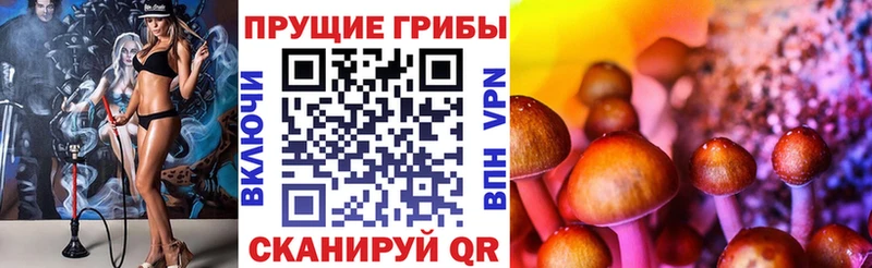 цены наркотик  Углегорск  Псилоцибиновые грибы GOLDEN TEACHER 